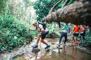 BIB: 
                            <button type="button" onclick="openModal(25373842)" class="btn btn-primary btn-sm float-right btn-popup" data-toggle="modal" data-target=".modal-high-quality">
                        <i class="fas fa-shopping-cart"></i> Add to Cart
                    </button>
                                            <button type="button" onclick="isThisMe(25373842, true)" class="btn btn-success btn-sm float-right btn-popup btn-isme hidden" data-toggle="tooltip" data-placement="bottom" title="นี่คือรูปของคุณใช่ไหม คลิกที่นี่เพื่อเอาเข้าอัลบั้ม">
                        <i class="fas fa-plus"></i> Add to album
                    </button>
                    <button type="button" onclick="isThisMe(25373842, false)" class="btn btn-warning btn-sm float-right btn-popup btn-isnotme hidden">
                        <i class="fas fa-ban"></i> Remove from album
                    </button>